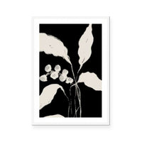 New Growth II