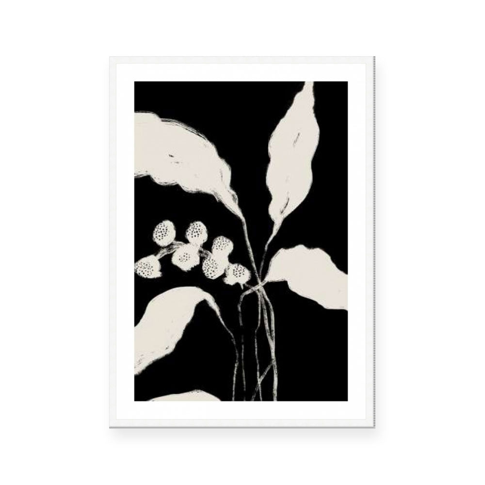 New Growth II