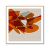 Ochre II