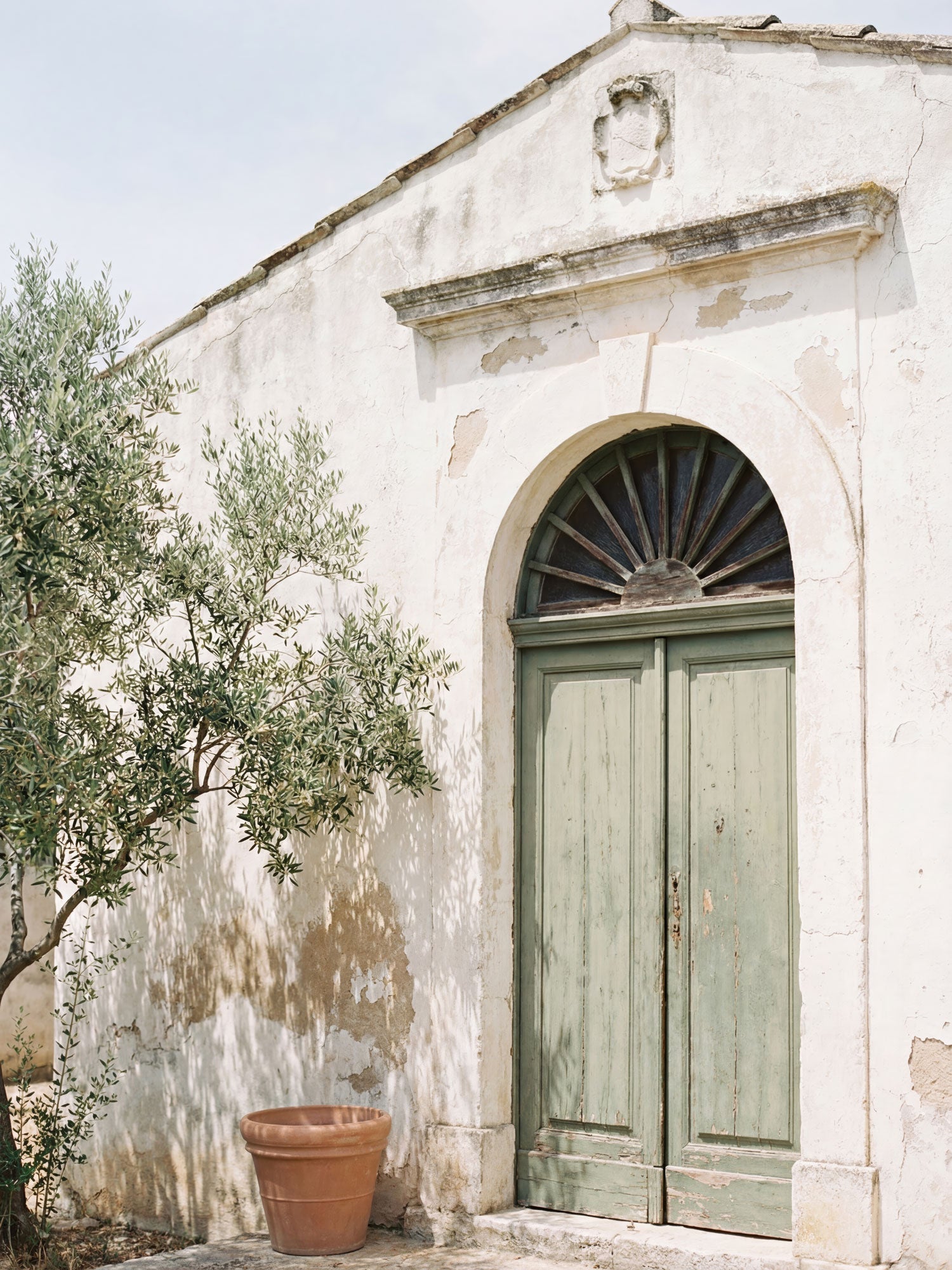 Olive Entrance