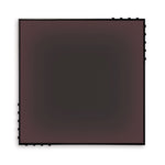 Ombré | Blackberry