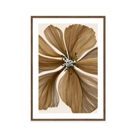 Organic Earth Flower I