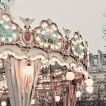 Paris Carousel I