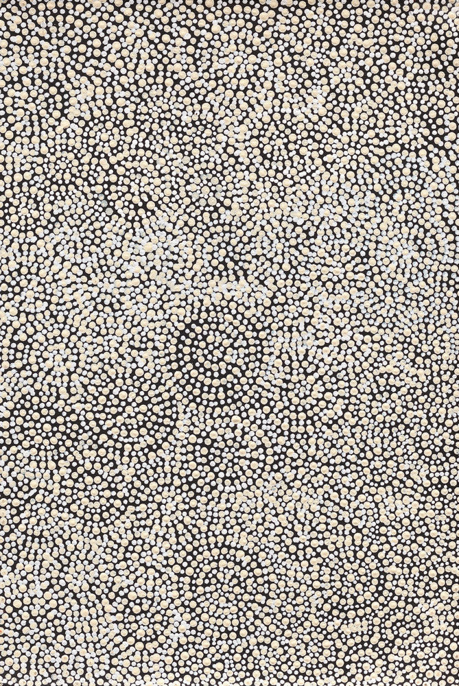 Warna Jukurrpa (Snake Dreaming) No.1 | Framed Canvas Print