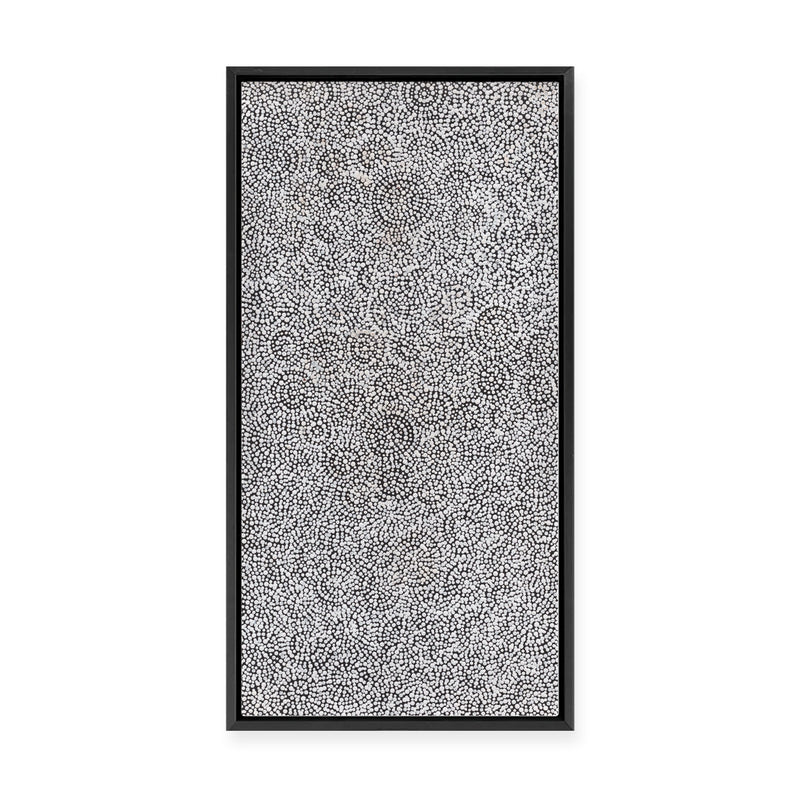 Warna Jukurrpa (Snake Dreaming) No.2 | Framed Canvas Print