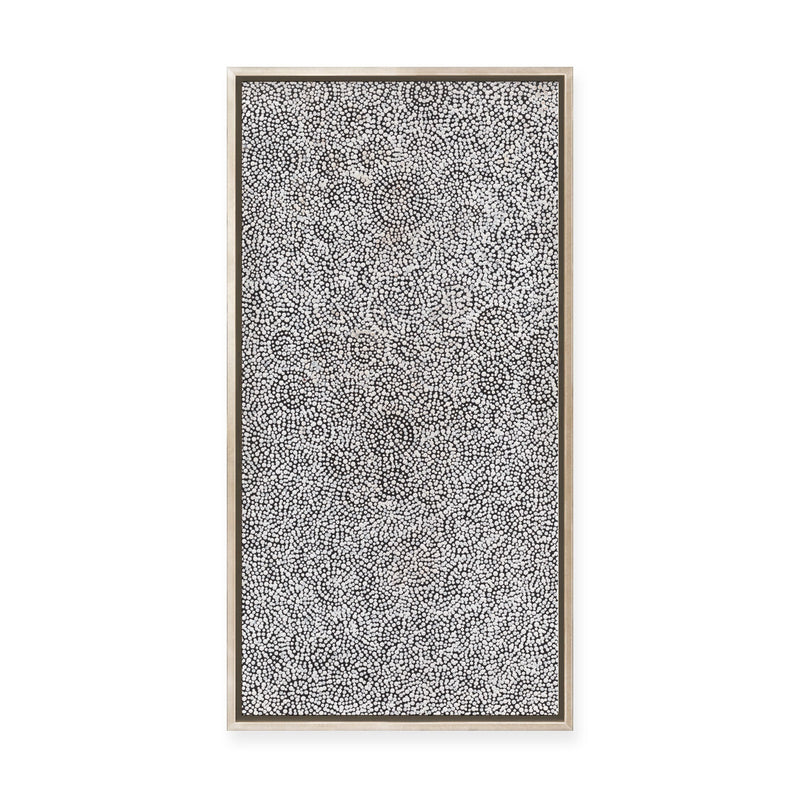 Warna Jukurrpa (Snake Dreaming) No.2 | Framed Canvas Print