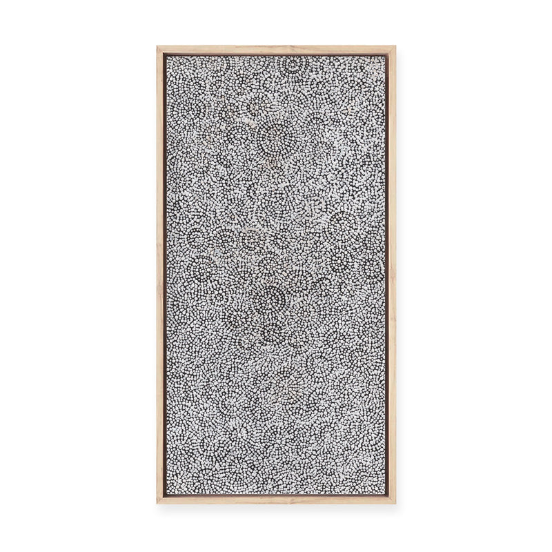 Warna Jukurrpa (Snake Dreaming) No.2 | Framed Canvas Print