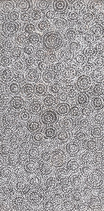 Warna Jukurrpa (Snake Dreaming) No.2 | Framed Canvas Print