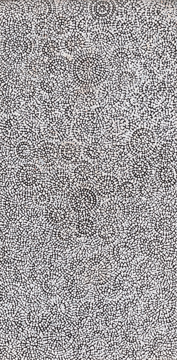 Warna Jukurrpa (Snake Dreaming) No.2 | Framed Canvas Print