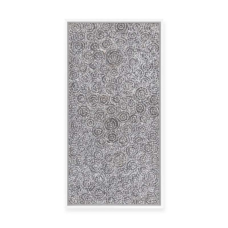 Warna Jukurrpa (Snake Dreaming) No.2 | Framed Canvas Print