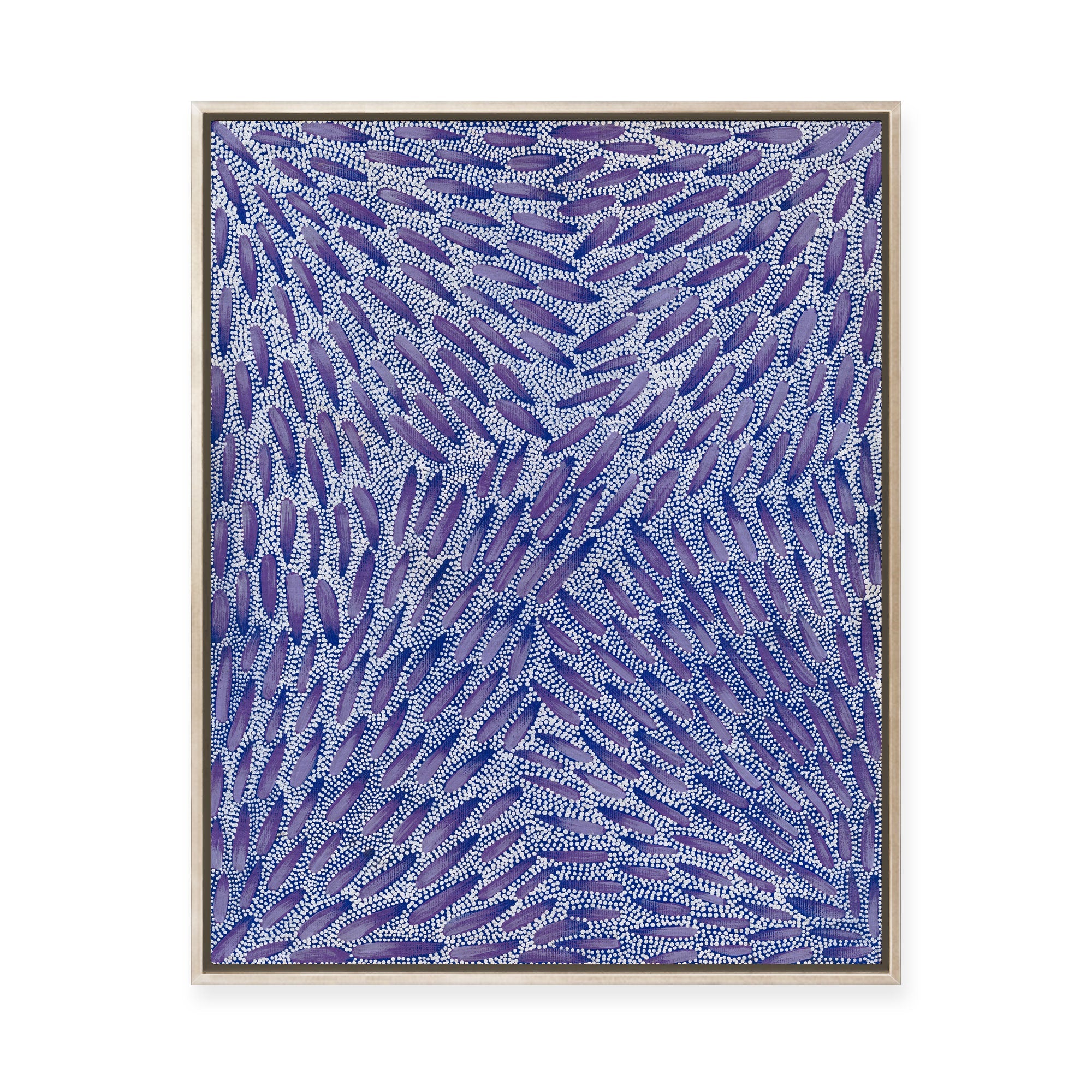 Warna Jukurrpa (Snake Dreaming) No.3 | Framed Canvas Print