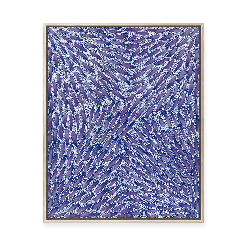 Warna Jukurrpa (Snake Dreaming) No.3 | Framed Canvas Print
