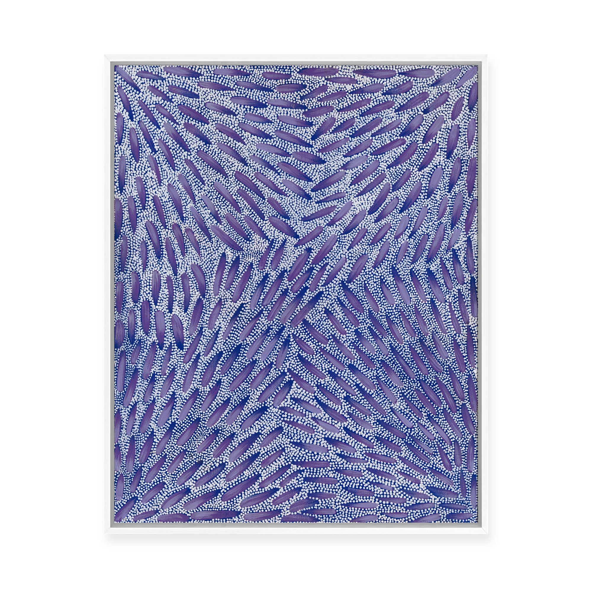 Warna Jukurrpa (Snake Dreaming) No.3 | Framed Canvas Print