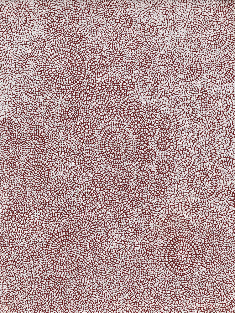 Warna Jukurrpa (Snake Dreaming) No.4