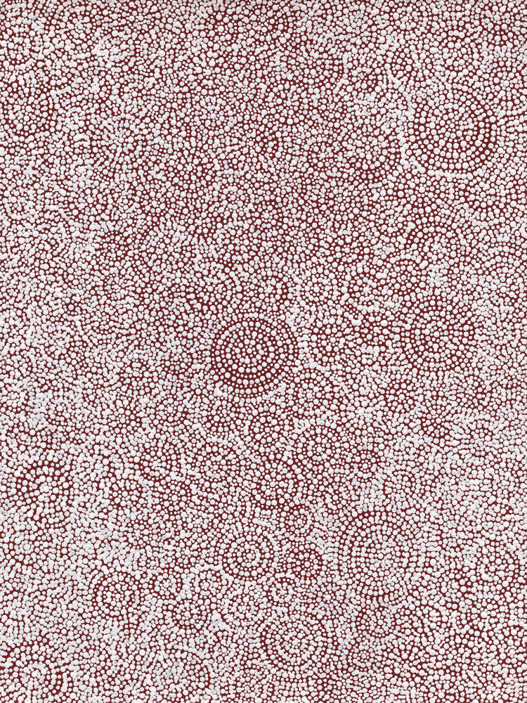 Warna Jukurrpa (Snake Dreaming) No.5 | Framed Canvas Print