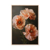 Peach Poppy Trio | Framed Canvas