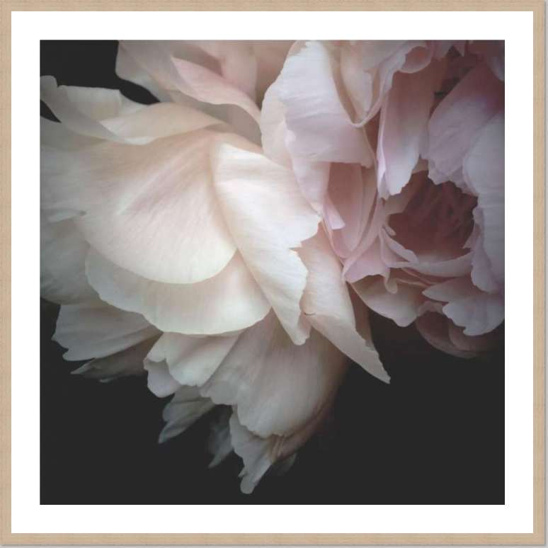 Peony | Katie Clulow