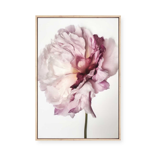 Petal Symphony | Framed Canvas