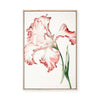 Petals in Bloom | Framed Canvas