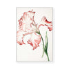 Petals in Bloom | Framed Canvas