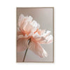 Pink Peony | Framed Canvas