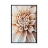 Pink Petal Symphony | Framed Canvas