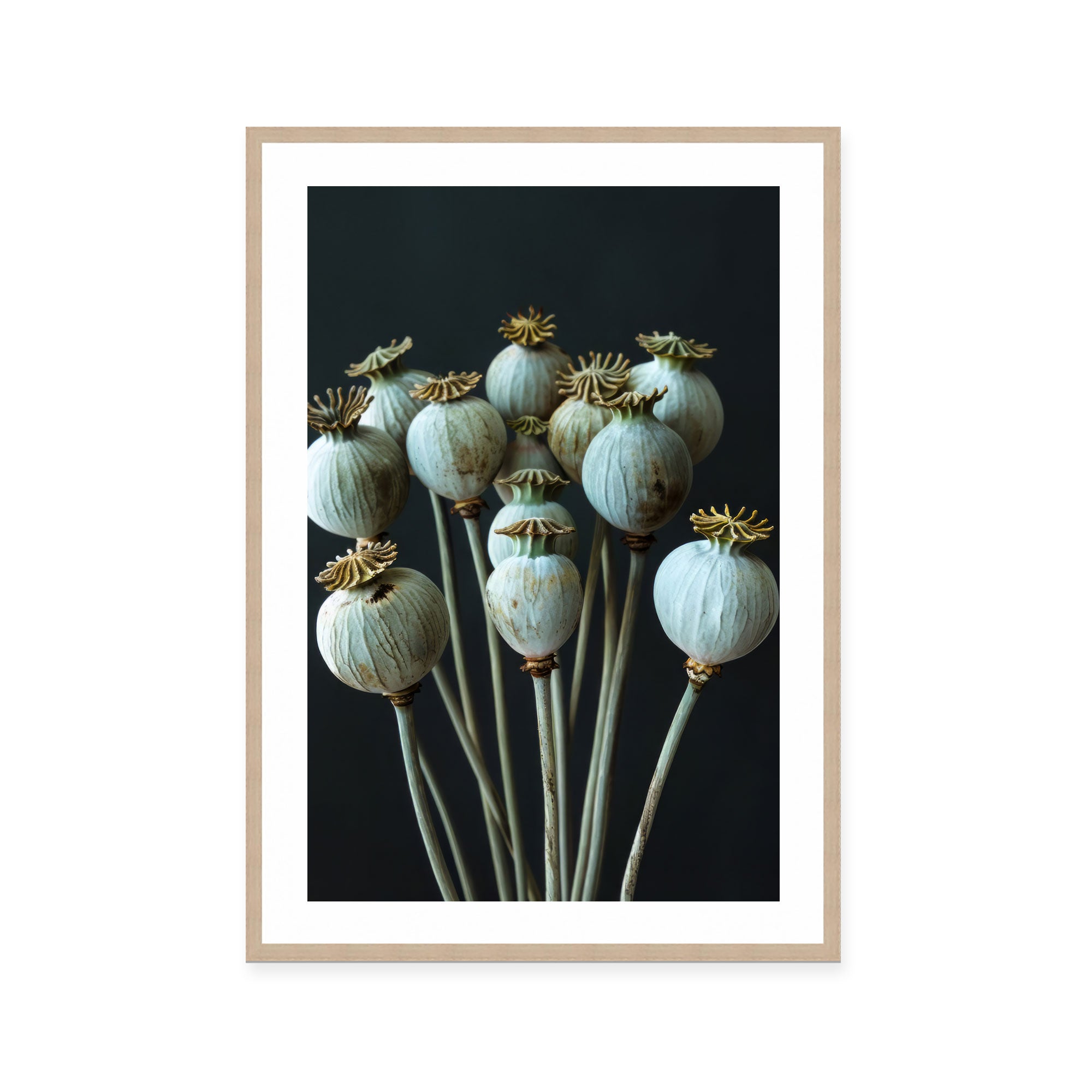 Seed Stillness