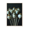 Seed Stillness | Framed Canvas