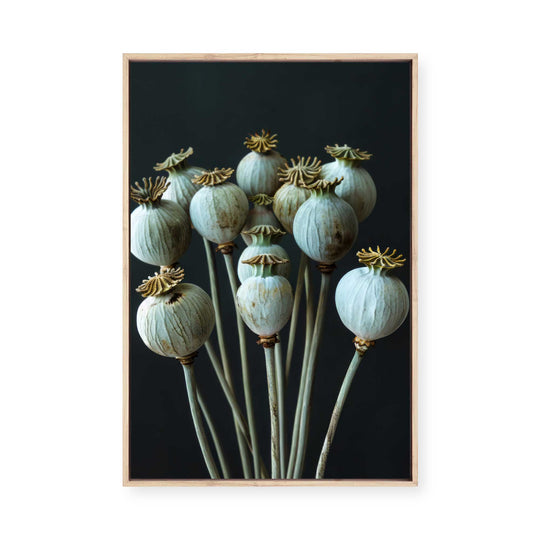 Seed Stillness | Framed Canvas