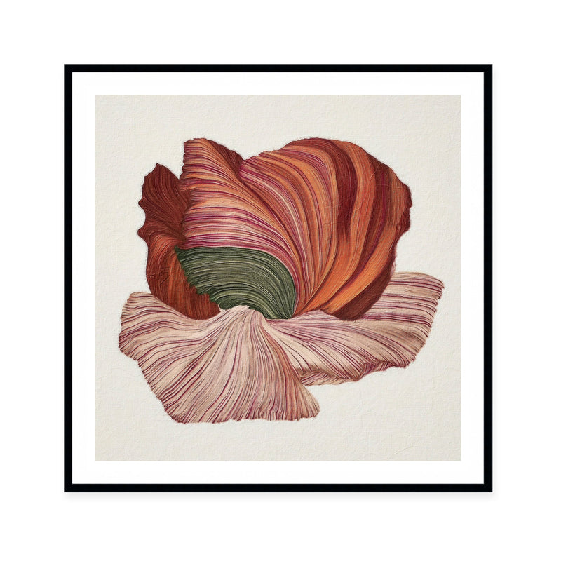 Poppy in Bloom