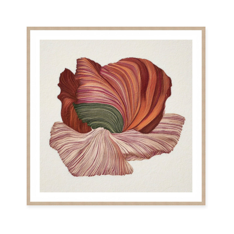 Poppy in Bloom