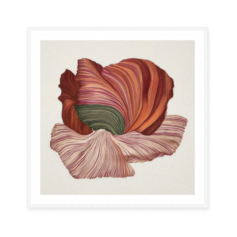 Poppy in Bloom