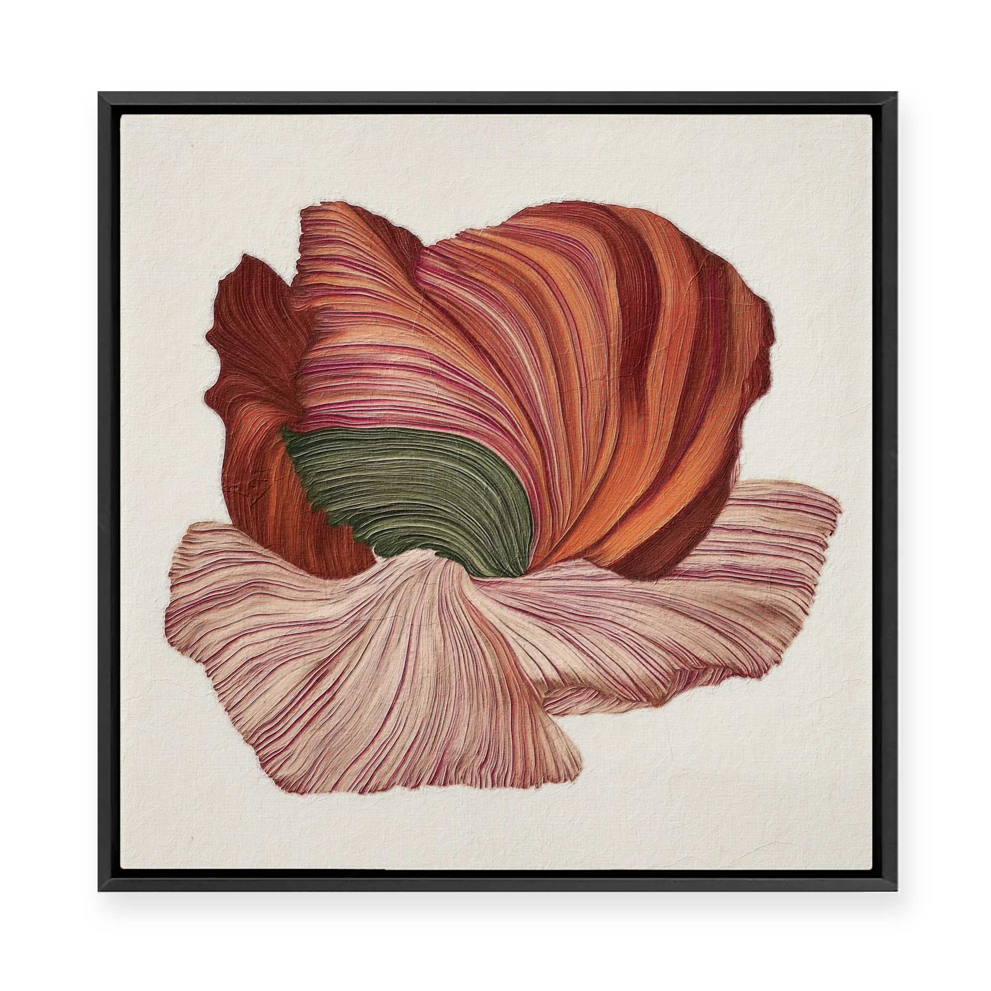 Poppy in Bloom | Framed Canvas