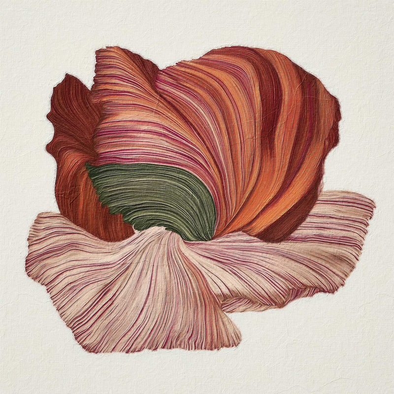 Poppy in Bloom