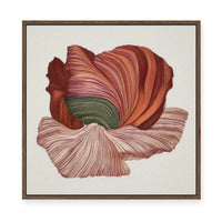 Poppy in Bloom | Framed Canvas