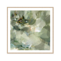 Quiet Meadow