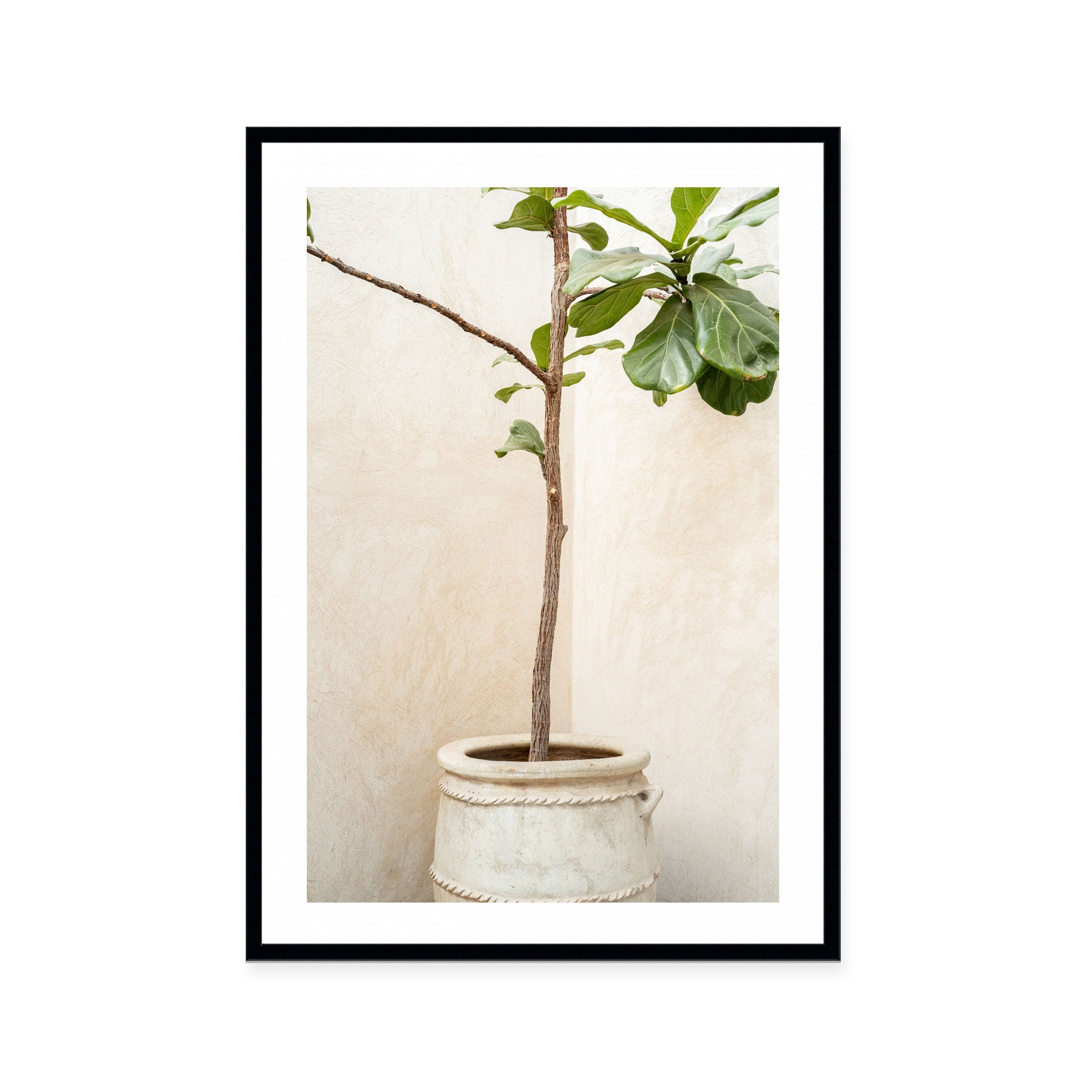 Rustic Potted Fiddle Leaf