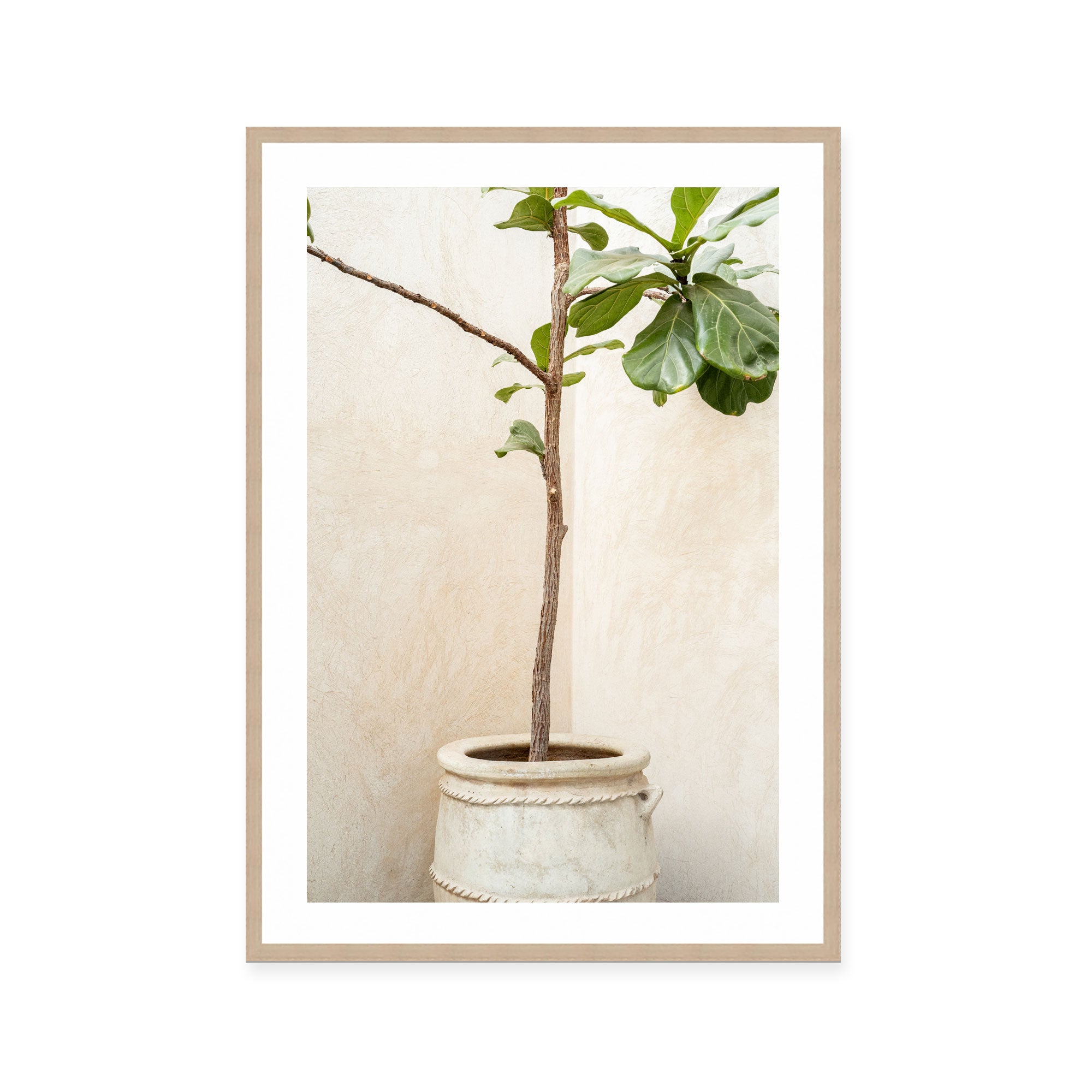 Rustic Potted Fiddle Leaf