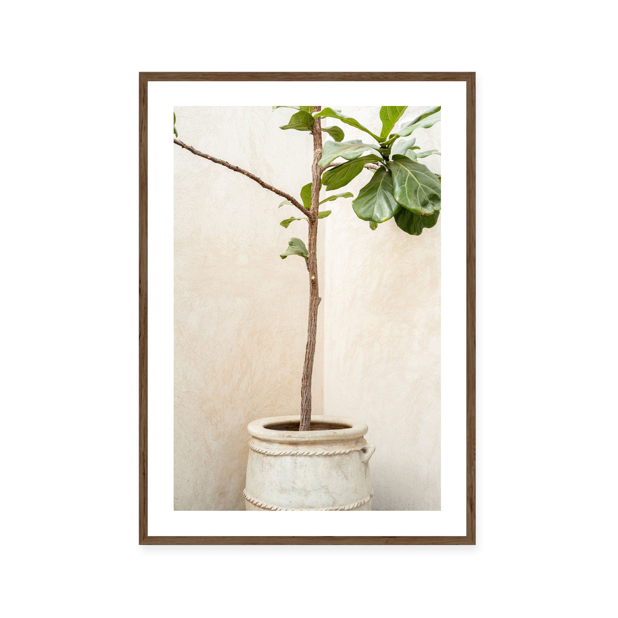 Rustic Potted Fiddle Leaf