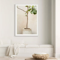 Rustic Potted Fiddle Leaf
