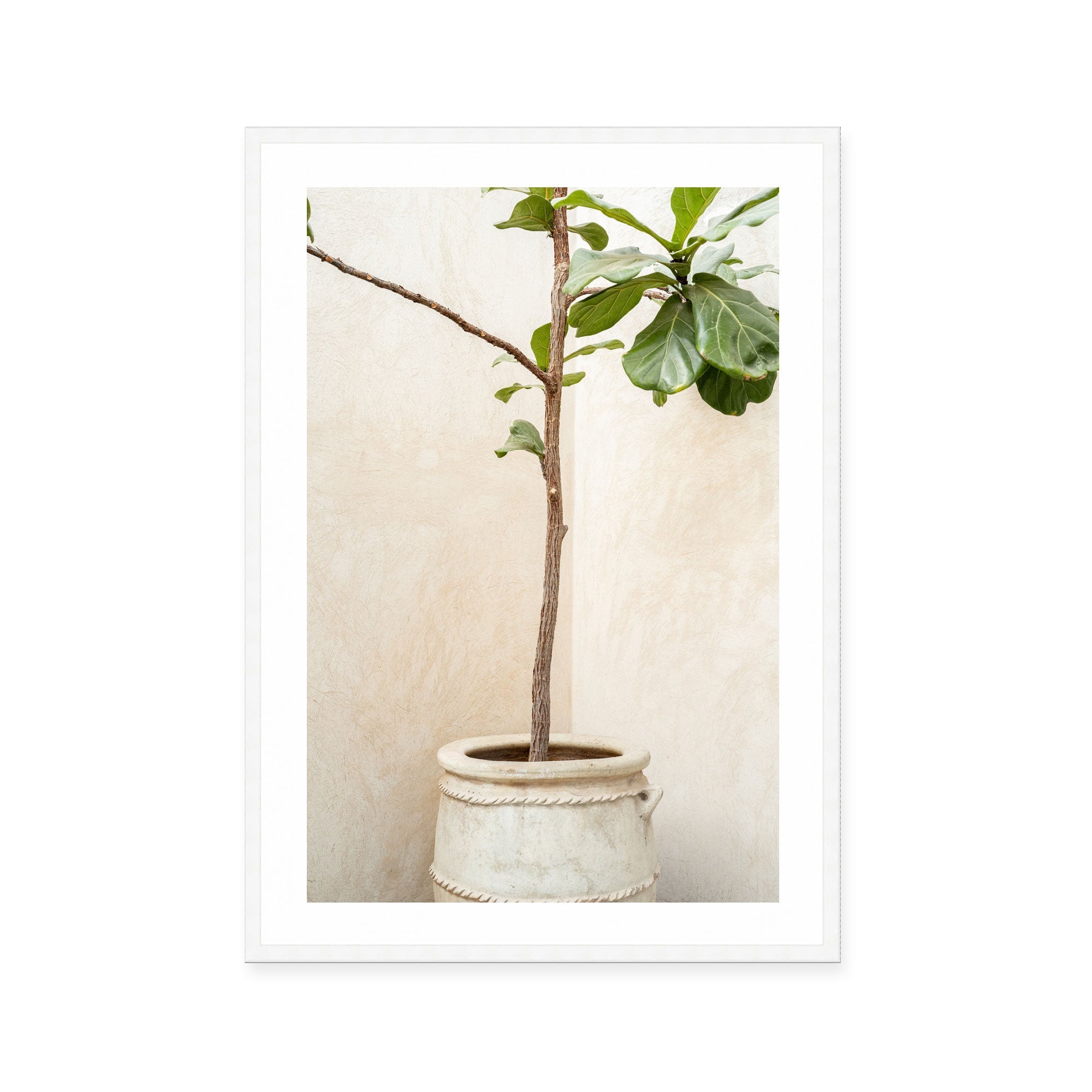 Rustic Potted Fiddle Leaf