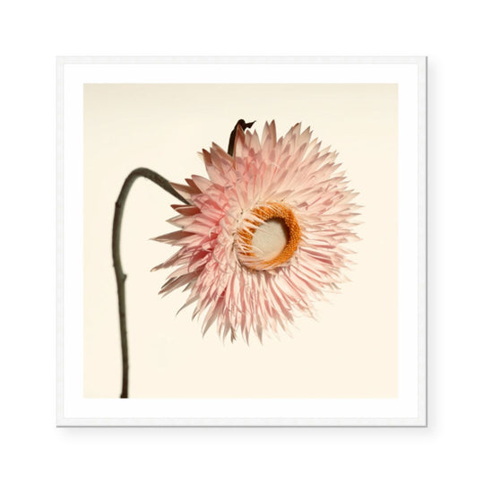 Sarah | Katie Clulow