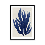 Sea Life Indigo III