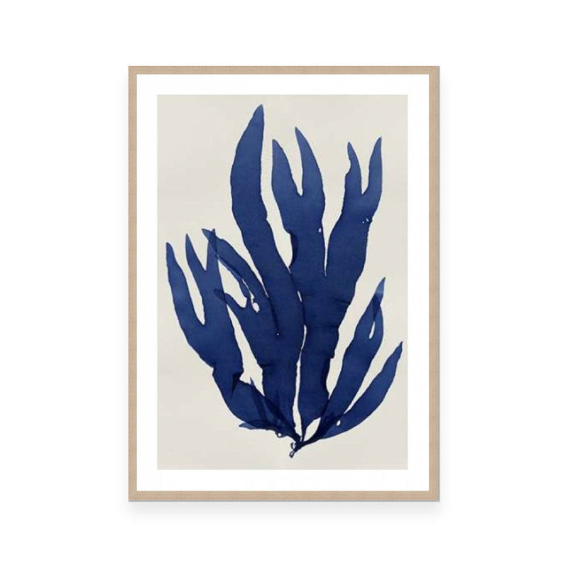 Sea Life Indigo III