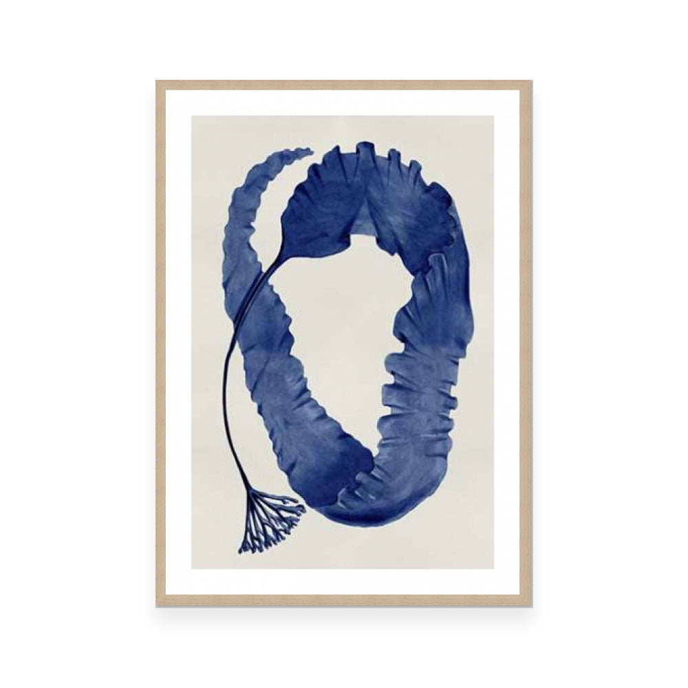 Sea Life Indigo II