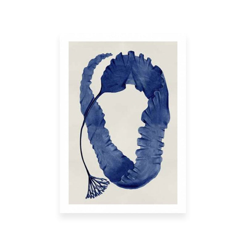 Sea Life Indigo II