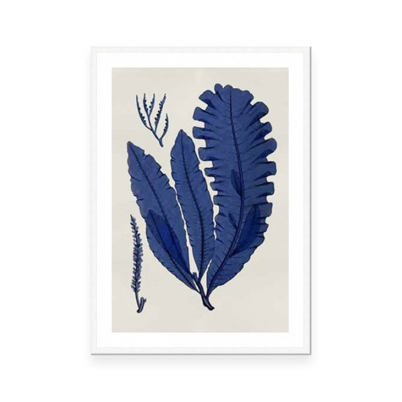 Sea Life Indigo IV