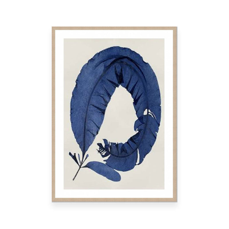 Sea Life Indigo I