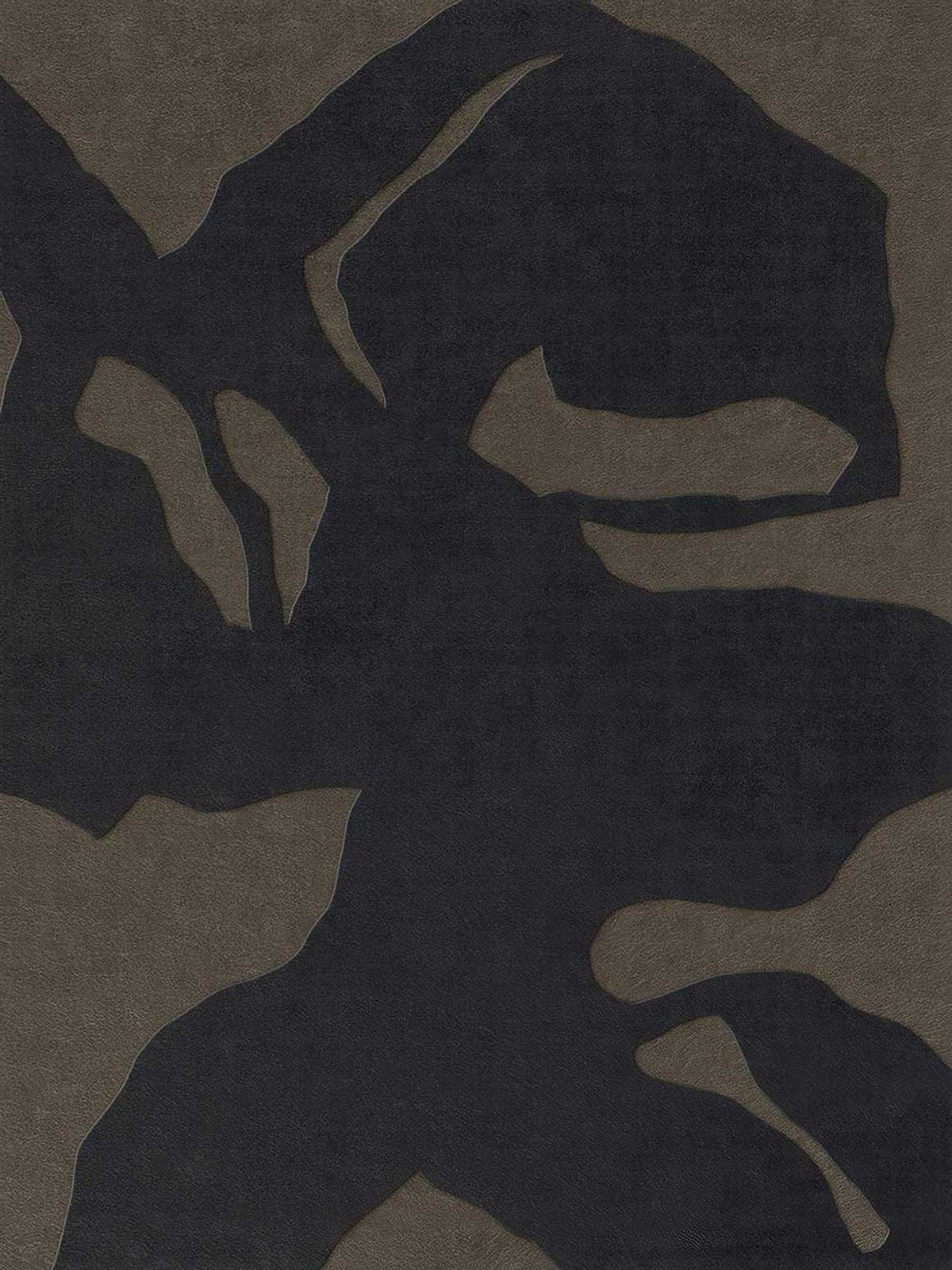 Silent Shadows