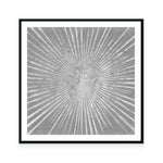 Silver Sunburst